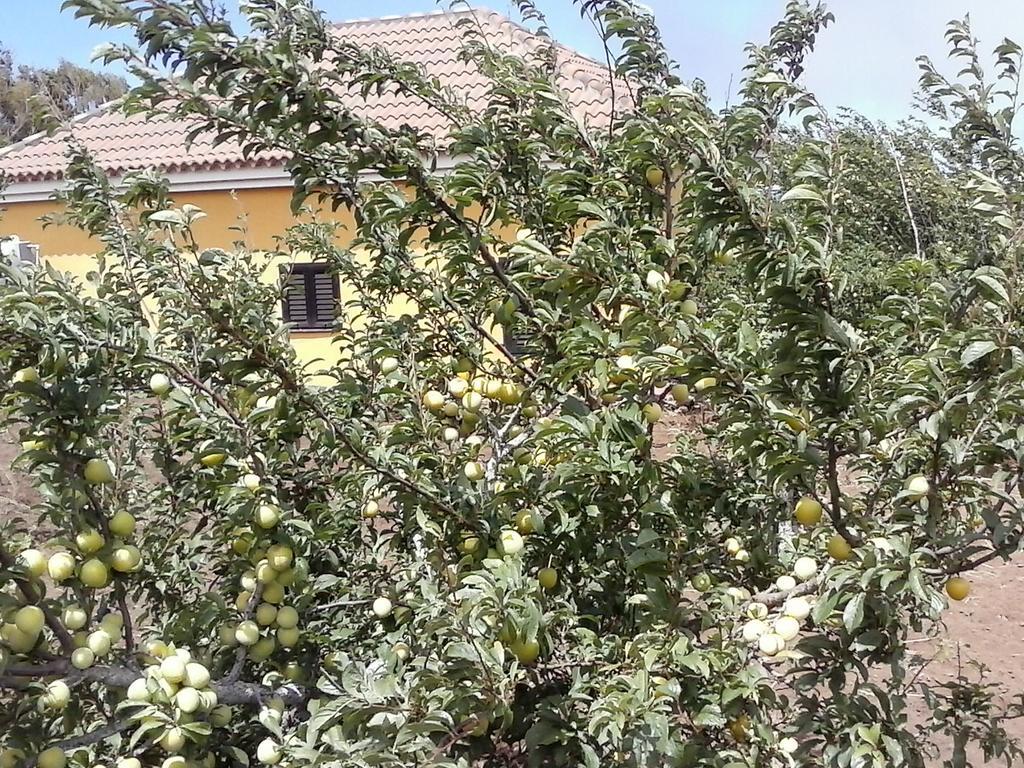 Casa Fatima فايي غران ري الغرفة الصورة
